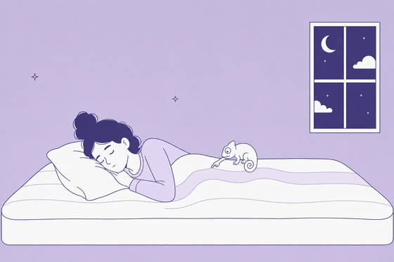 Comfortzones in een matras: zijn 7 zones beter dan 3?