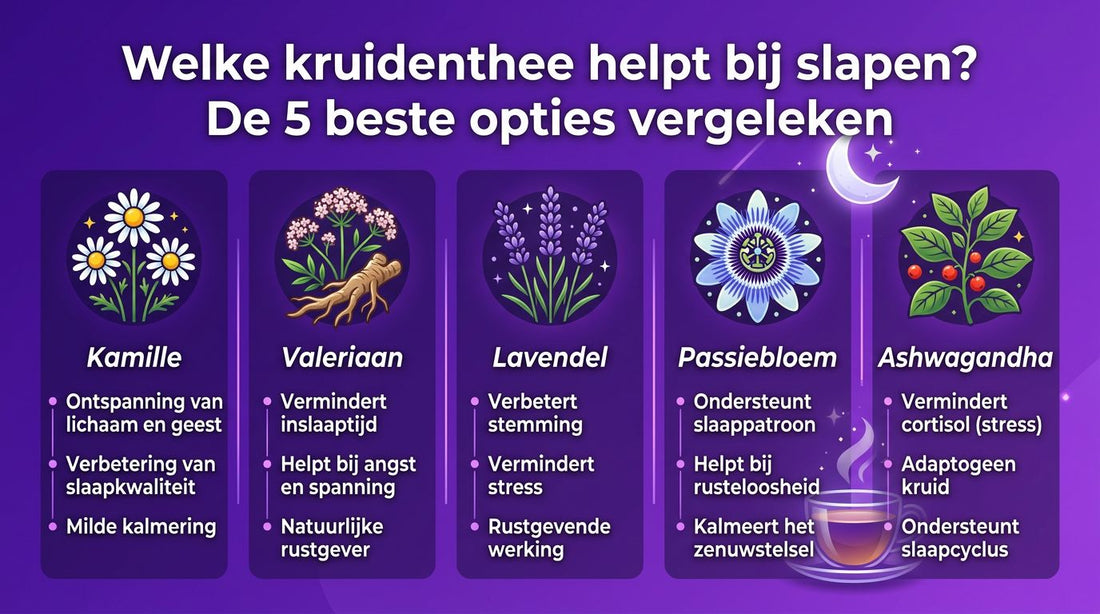 Welke kruidenthee helpt bij slapen? De 5 beste opties vergeleken