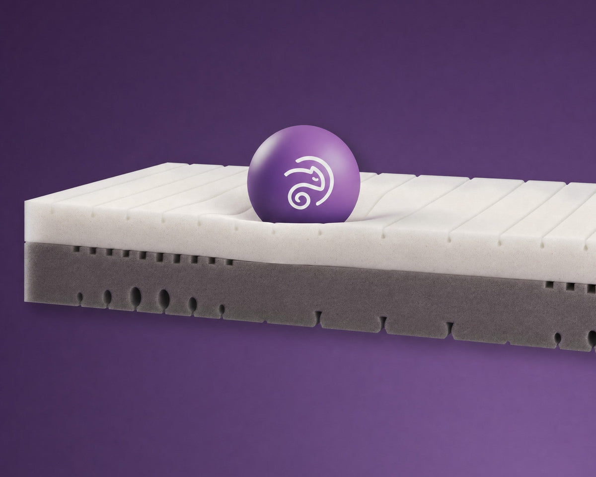 Keerbare schuimkern van het Kameo Essence Foam matras